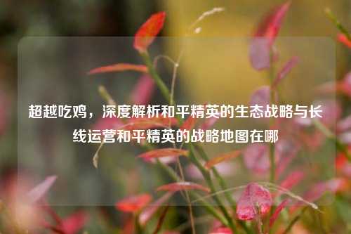 超越吃鸡，深度解析和平精英的生态战略与长线运营和平精英的战略地图在哪