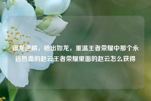 银龙逆鳞，枪出如龙，重温王者荣耀中那个永远热血的赵云王者荣耀里面的赵云怎么获得