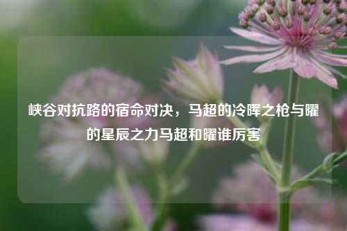 峡谷对抗路的宿命对决,马超的冷晖之枪与曜的星辰之力马超和曜谁厉害