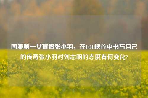 国服第一女盲僧张小羽,在LOL峡谷中书写自己的传奇张小羽对刘志明的态度有何变化?