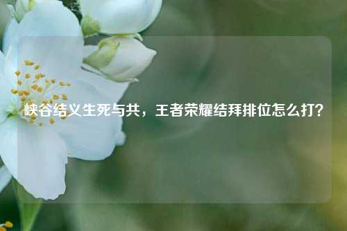 峡谷结义生死与共，王者荣耀结拜排位怎么打？