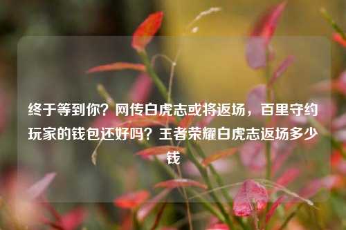 终于等到你？网传白虎志或将返场，百里守约玩家的钱包还好吗？王者荣耀白虎志返场多少钱