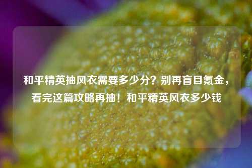 和平精英抽风衣需要多少分?别再盲目氪金,看完这篇攻略再抽!和平精英风衣多少钱