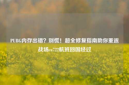 PUBG内存出错?别慌!超全修复指南助你重返战场ca722航班回国经过