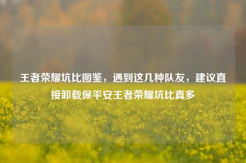 王者荣耀坑比图鉴,遇到这几种队友,建议直接卸载保平安王者荣耀坑比真多