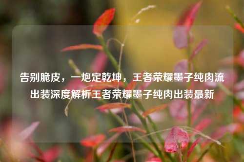 告别脆皮,一炮定乾坤,王者荣耀墨子纯肉流出装深度解析王者荣耀墨子纯肉出装最新