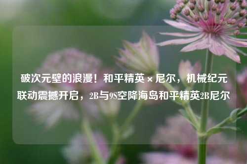 破次元壁的浪漫！和平精英×尼尔，机械纪元联动震撼开启，2B与9S空降海岛和平精英2B尼尔