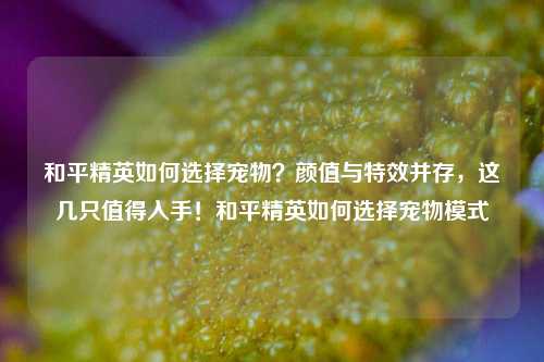 和平精英如何选择宠物？颜值与特效并存，这几只值得入手！和平精英如何选择宠物模式
