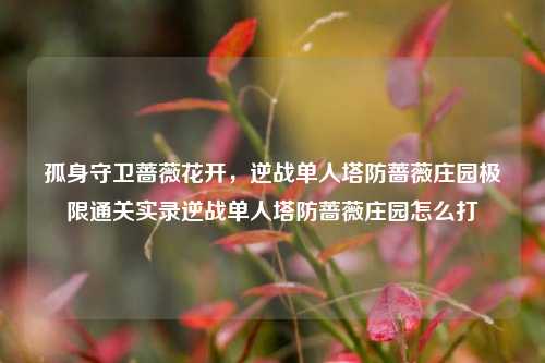 孤身守卫蔷薇花开，逆战单人塔防蔷薇庄园极限通关实录逆战单人塔防蔷薇庄园怎么打