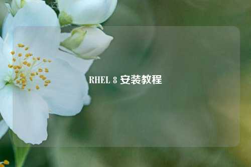 RHEL 8 安装教程