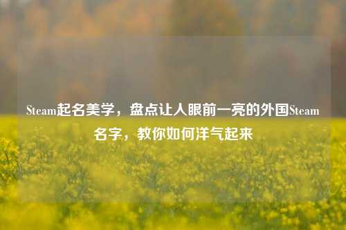 Steam起名美学,盘点让人眼前一亮的外国Steam名字,教你如何洋气起来