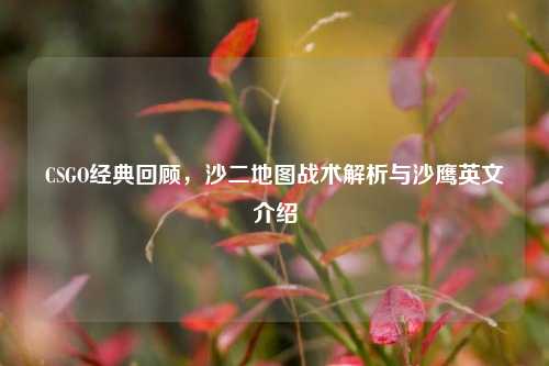 CSGO经典回顾,沙二地图战术解析与沙鹰英文介绍