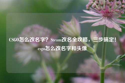 CSGO怎么改名字？Steam改名全攻略，三步搞定！csgo怎么改名字和头像