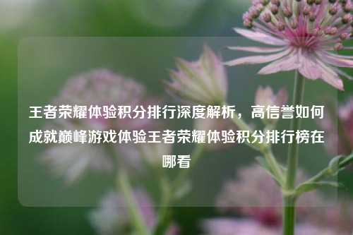 王者荣耀体验积分排行深度解析，高信誉如何成就巅峰游戏体验王者荣耀体验积分排行榜在哪看