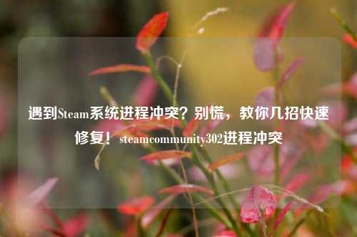 遇到Steam系统进程冲突？别慌，教你几招快速修复！steamcommunity302进程冲突