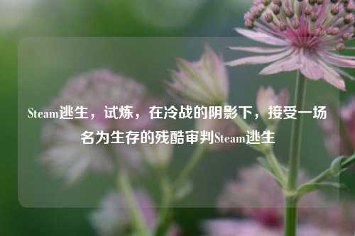 Steam逃生,试炼,在冷战的阴影下,接受一场名为生存的残酷审判Steam逃生