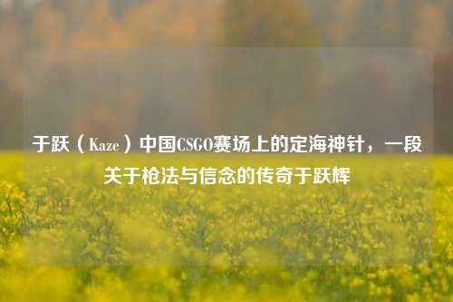 于跃（Kaze）中国CSGO赛场上的定海神针，一段关于枪法与信念的传奇于跃辉