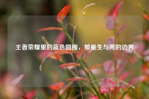 王者荣耀里的蓝色圆圈，那是生与死的边界