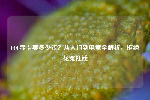 LOL显卡要多少钱？从入门到电竞全解析，拒绝花冤枉钱