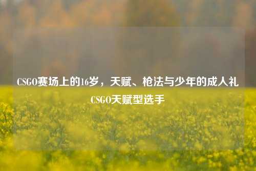 CSGO赛场上的16岁，天赋、枪法与少年的成人礼CSGO天赋型选手