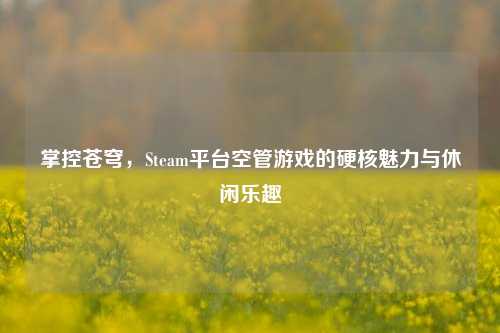 掌控苍穹，Steam平台空管游戏的硬核魅力与休闲乐趣