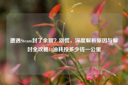遭遇Steam封了余额？别慌，深度解析原因与解封全攻略14油耗投多少钱一公里