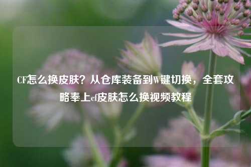 CF怎么换皮肤？从仓库装备到W键切换，全套攻略奉上cf皮肤怎么换视频教程