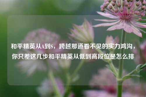 和平精英从A到S，跨越那道看不见的实力鸿沟，你只差这几步和平精英从低到高段位是怎么排