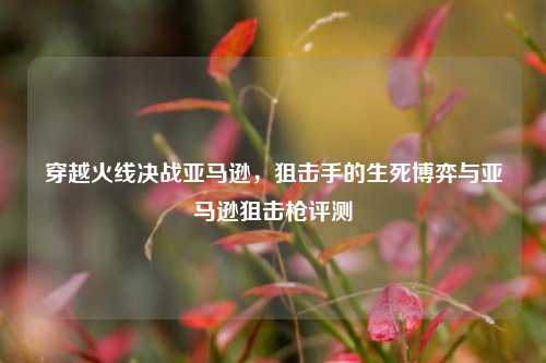 穿越火线决战亚马逊，狙击手的生死博弈与亚马逊狙击枪评测
