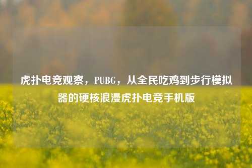 虎扑电竞观察,PUBG,从全民吃鸡到步行模拟器的硬核浪漫虎扑电竞手机版