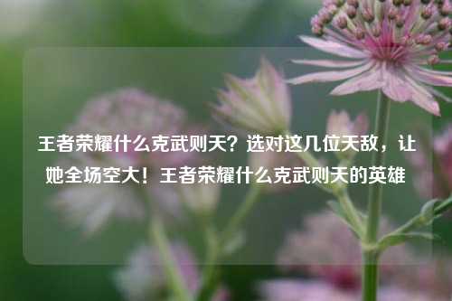 王者荣耀什么克武则天？选对这几位天敌，让她全场空大！王者荣耀什么克武则天的英雄