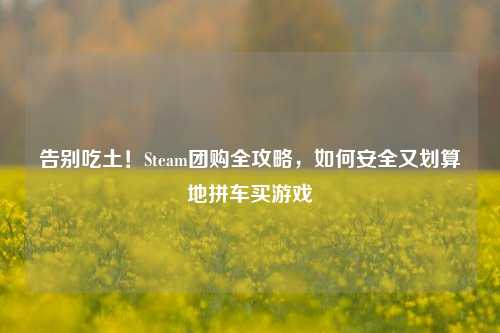 告别吃土！Steam团购全攻略，如何安全又划算地拼车买游戏
