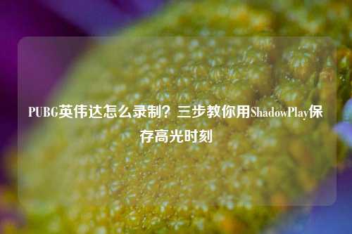 PUBG英伟达怎么录制？三步教你用ShadowPlay保存高光时刻