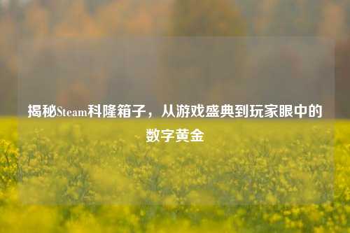 揭秘Steam科隆箱子,从游戏盛典到玩家眼中的数字黄金