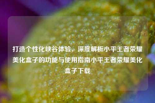 打造个性化峡谷体验,深度解析小平王者荣耀美化盒子的功能与使用指南小平王者荣耀美化盒子下载
