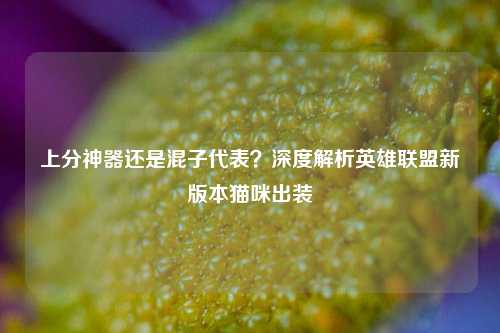 上分神器还是混子代表？深度解析英雄联盟新版本猫咪出装