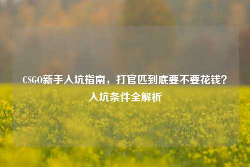 CSGO新手入坑指南，打官匹到底要不要花钱？入坑条件全解析