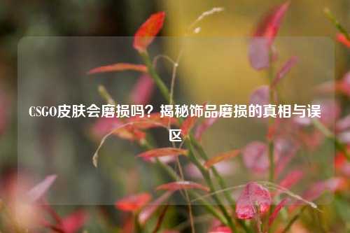 CSGO皮肤会磨损吗？揭秘饰品磨损的真相与误区