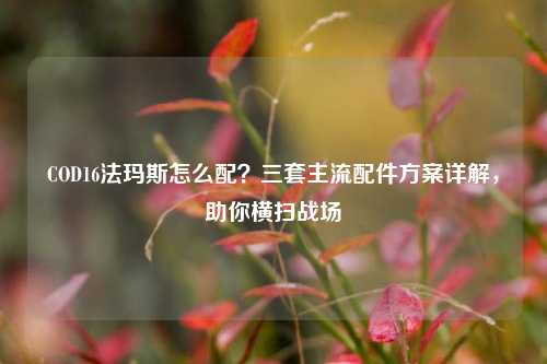 COD16法玛斯怎么配？三套主流配件方案详解，助你横扫战场