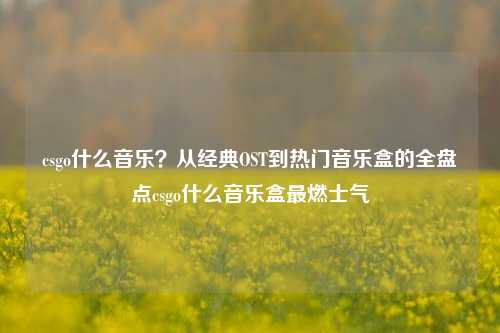 csgo什么音乐？从经典OST到热门音乐盒的全盘点csgo什么音乐盒最燃士气