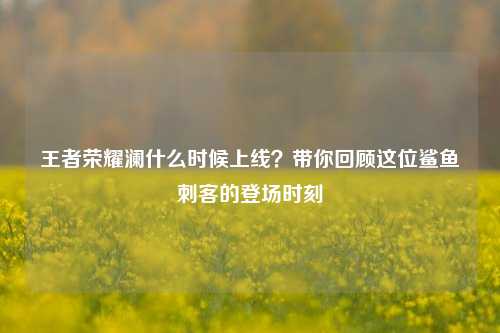 王者荣耀澜什么时候上线？带你回顾这位鲨鱼刺客的登场时刻