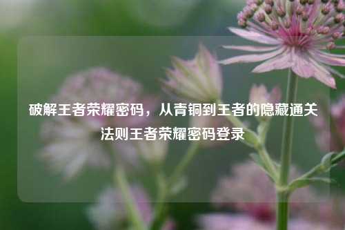 破解王者荣耀密码，从青铜到王者的隐藏通关法则王者荣耀密码登录
