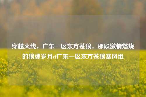 穿越火线，广东一区东方苍狼，那段激情燃烧的狼魂岁月cf广东一区东方苍狼暴风组