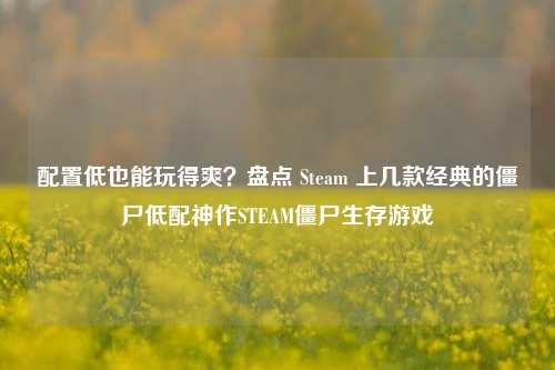 配置低也能玩得爽？盘点 Steam 上几款经典的僵尸低配神作STEAM僵尸生存游戏
