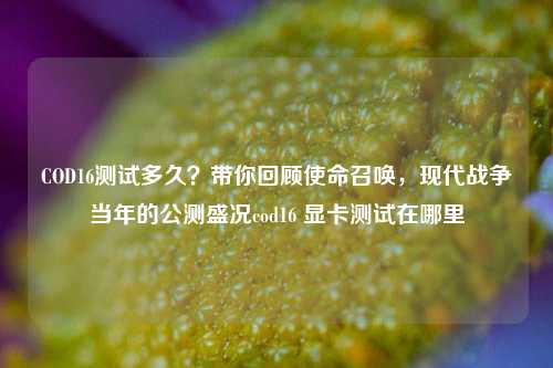 COD16测试多久？带你回顾使命召唤，现代战争当年的公测盛况cod16 显卡测试在哪里