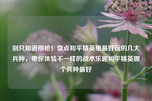 别只知道刚枪！盘点和平精英里最好玩的几大兵种，带你体验不一样的战术乐趣和平精英哪个兵种最好