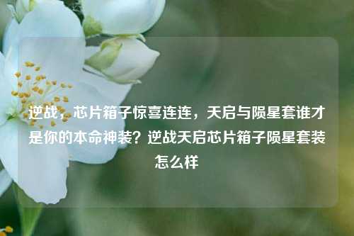 逆战，芯片箱子惊喜连连，天启与陨星套谁才是你的本命神装？逆战天启芯片箱子陨星套装怎么样