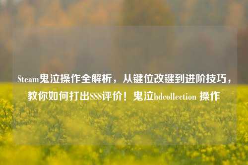 Steam鬼泣操作全解析，从键位改键到进阶技巧，教你如何打出SSS评价！鬼泣hdcollection 操作