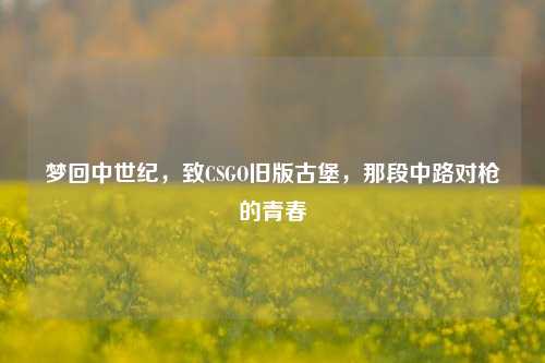 梦回中世纪，致CSGO旧版古堡，那段中路对枪的青春