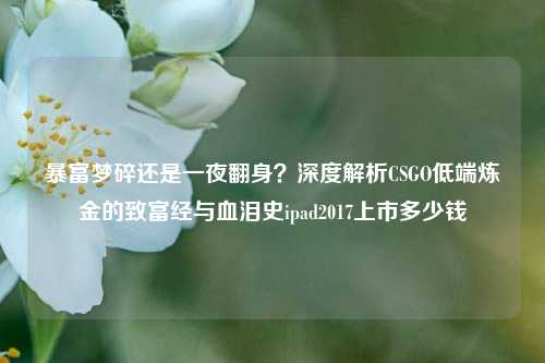 暴富梦碎还是一夜翻身？深度解析CSGO低端炼金的致富经与血泪史ipad2017上市多少钱